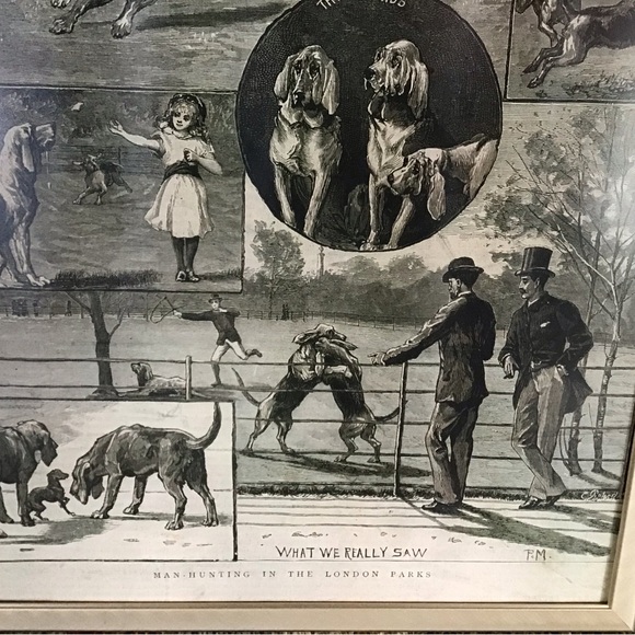 Vintage Bloodhound Dog magazine Illustration Print in metal frame - Picture 5 of 5